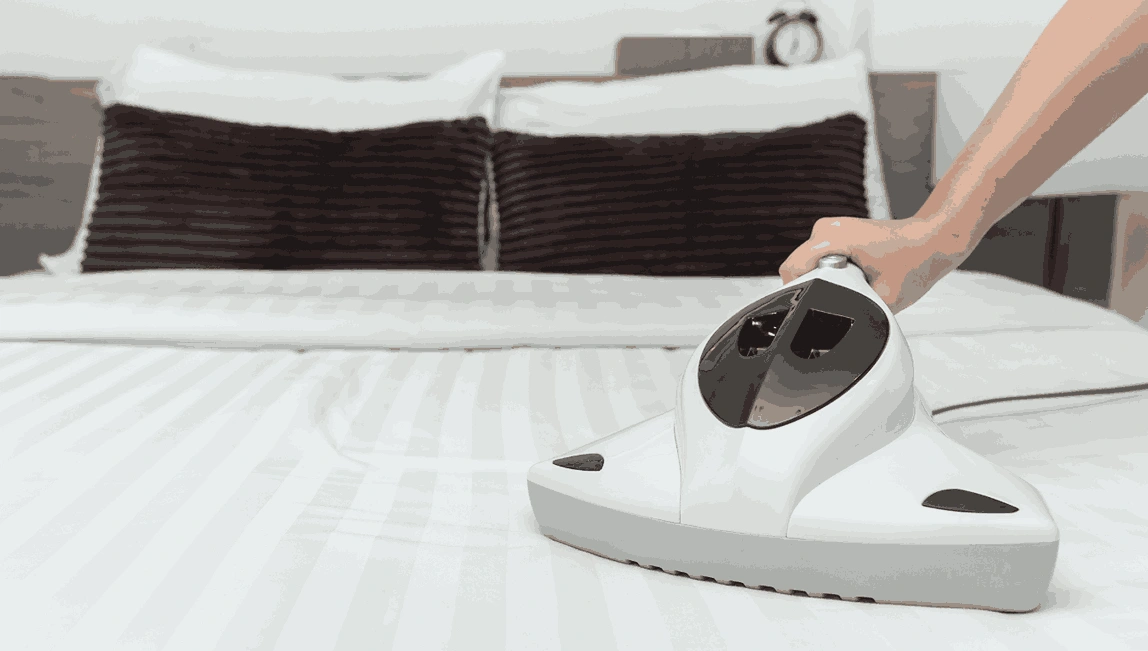 Professional Mattress Cleaning Thomson